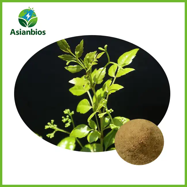 Ampelopsis Grossedentata Leaf Powder
